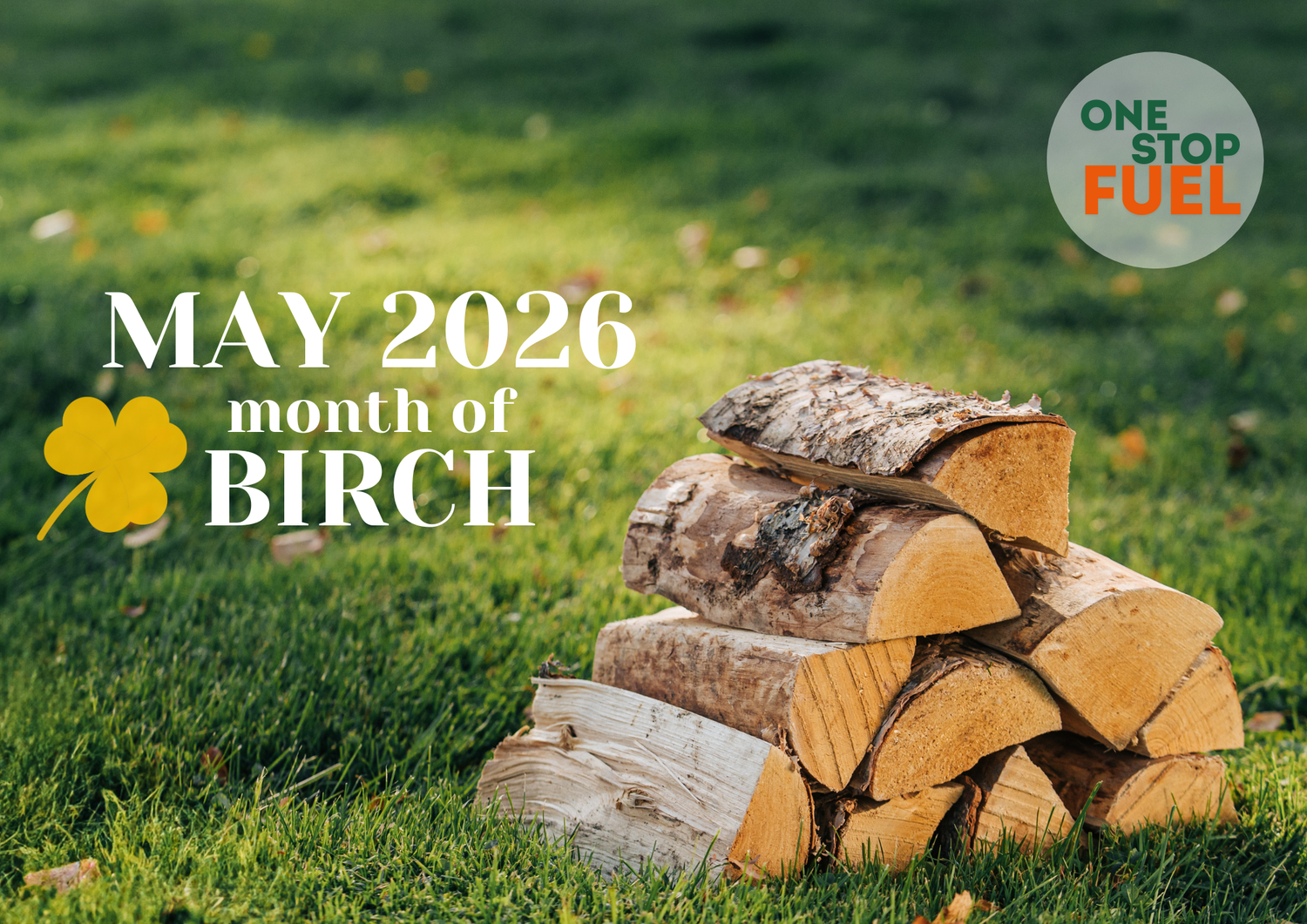 May 2026 is the Month of Birch