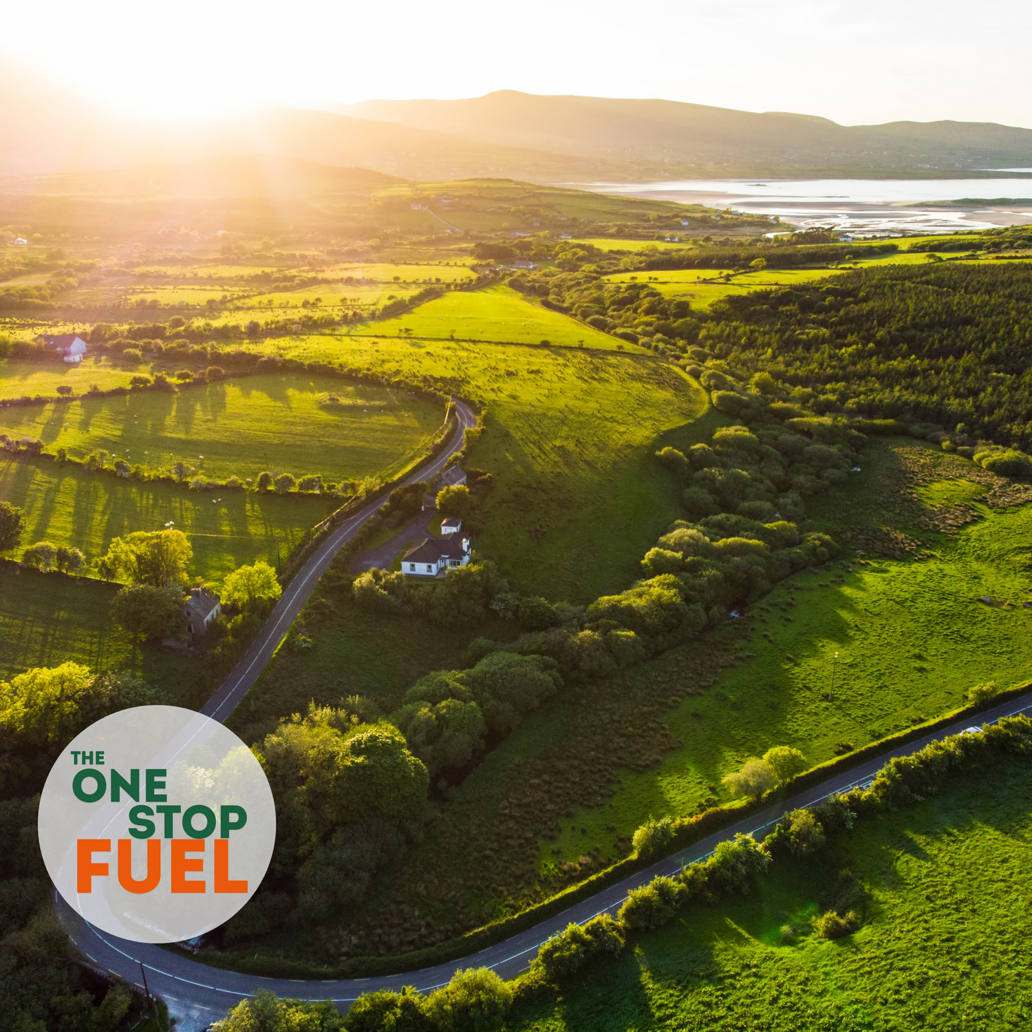 The Changing World of Firewood in Ireland
